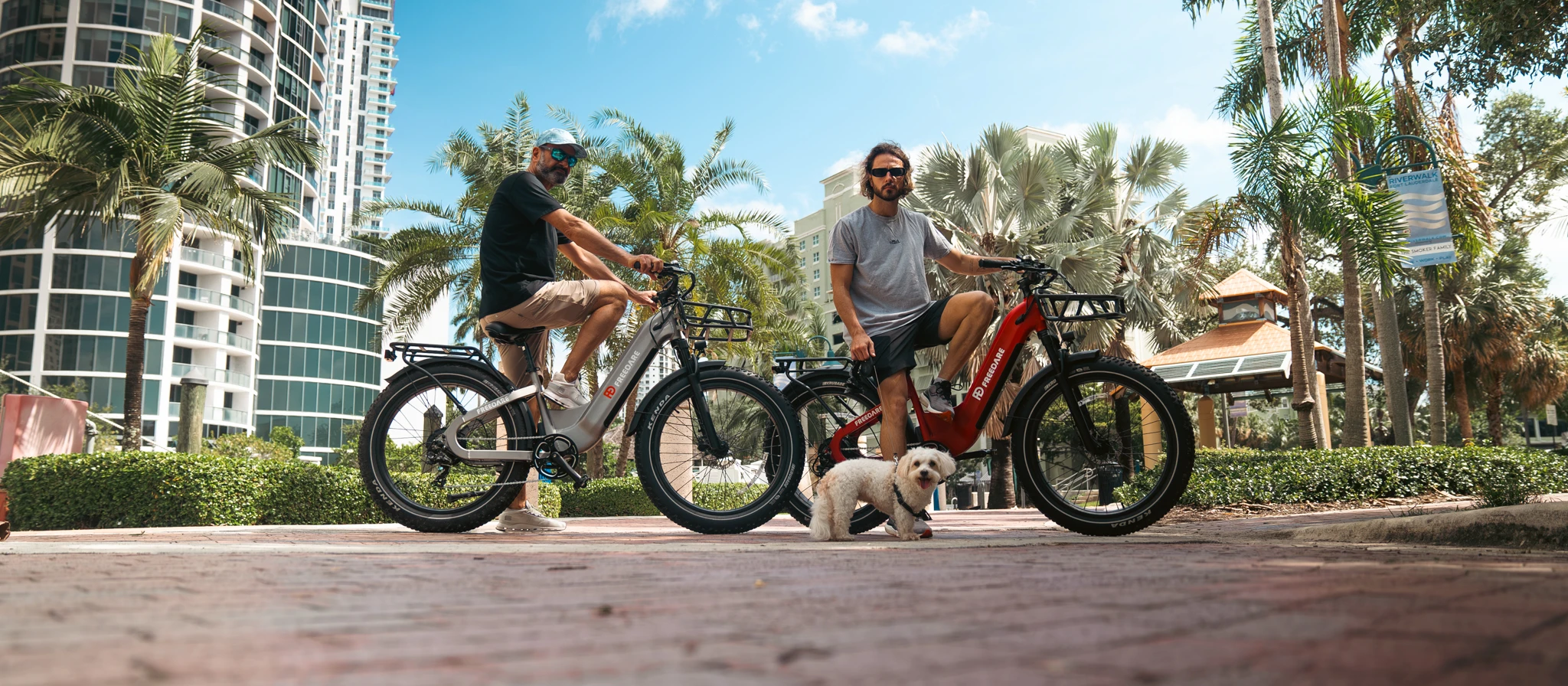Freedare E-Bike Forest Ride